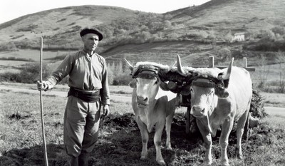 Un agriculteur labourdin (vers 1950) © Christian Jougleux